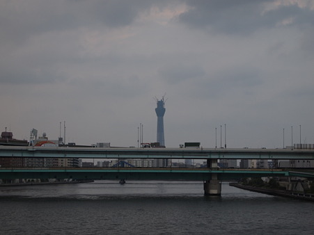 P8182293