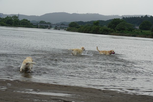 水遊び