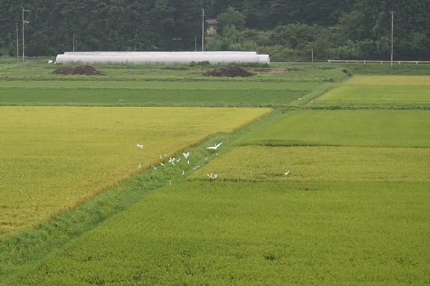 小雨中