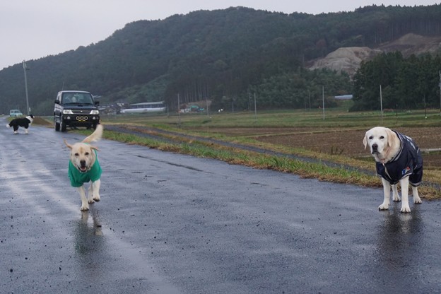 小雨中