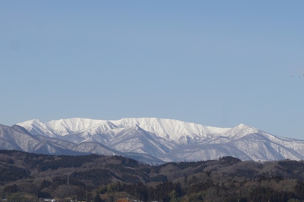 雪の蔵王