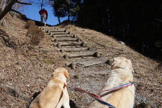 お山の散歩
