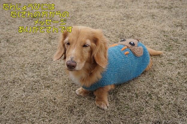 ありがとう