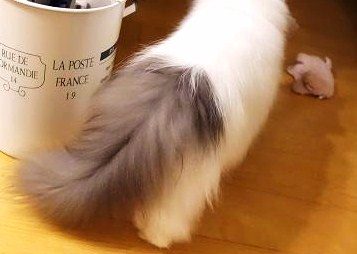 歩く