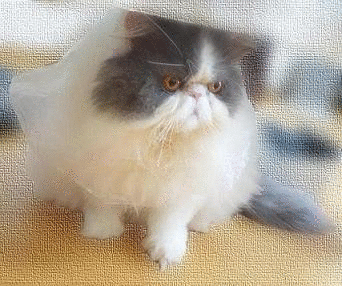 さ~てどうしようかな?