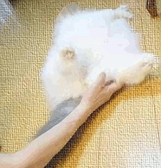 動く足の体操 (2)