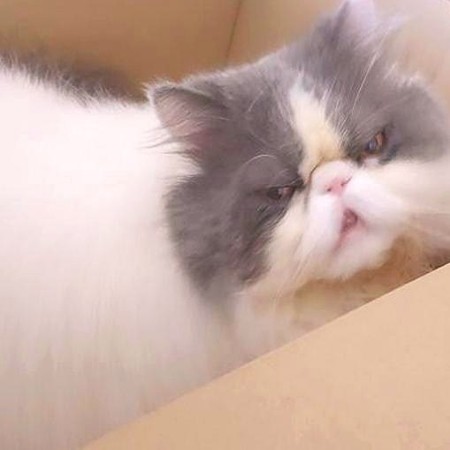 くうちゃんが嬉しそうな時(笑)