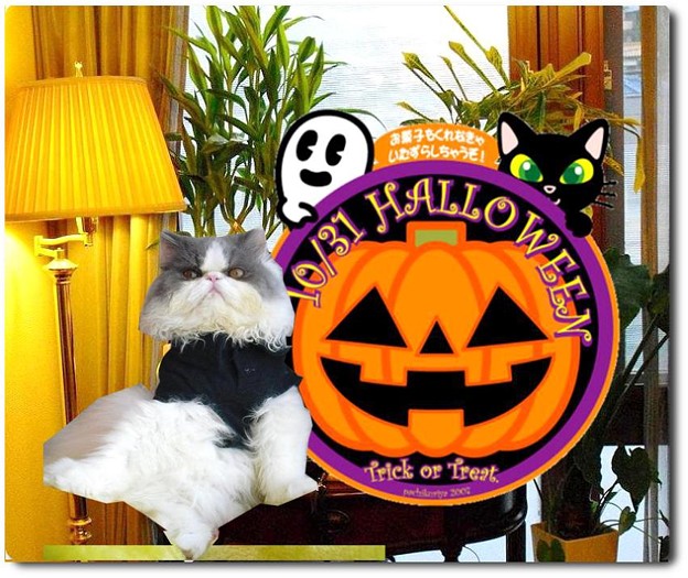 ハロウィンくうちゃん