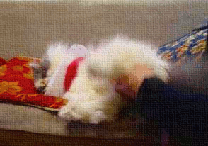 GIF!足ストレッチ