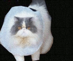 GIF!口パクで直訴する仔
