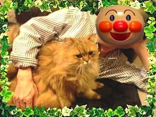 眠たそうなミック