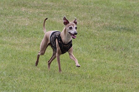 IMG_1835