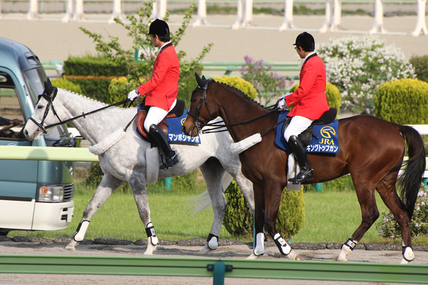 福島競馬場 誘導馬 マンボジャンボ キングトップガン 16 04 23 写真共有サイト フォト蔵