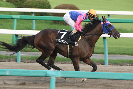 競馬 ラジオ 日本