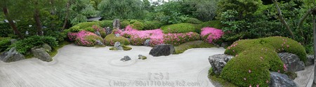 160606-明月院 (173)
