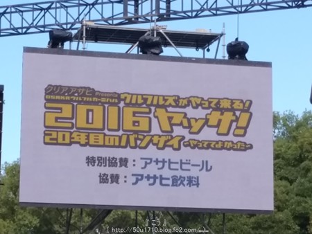 160827-ウルフルズ ヤッサ S (15)