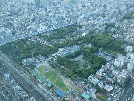 160828-ハルカス300(夕) (31)