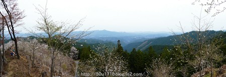160410-吉野山 (37)