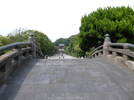 160606-鶴岡八幡宮 (5)