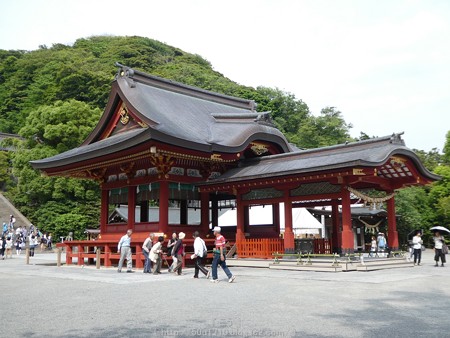 160606-鶴岡八幡宮 (11)