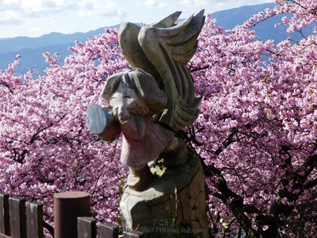 170228-松田町 河津桜 展望台 (2)