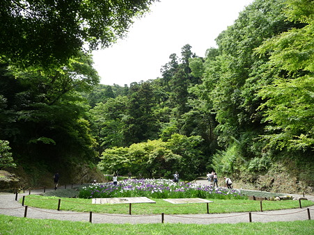 100615-明月院裏庭園-6