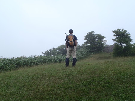 12070807