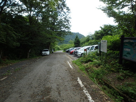 16071640