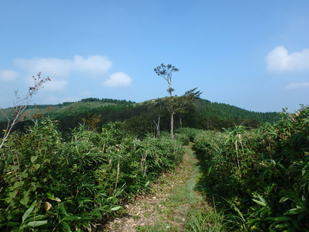 P8140029