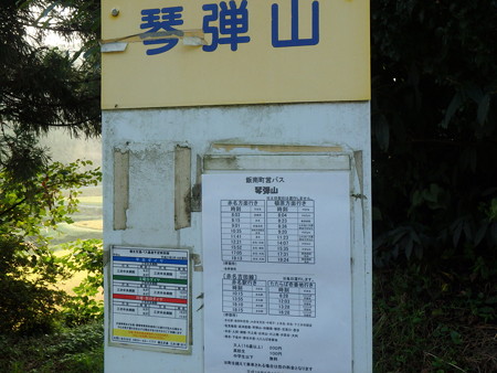P9110131