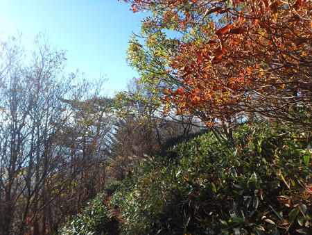 16110339