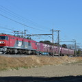 Photos: 貨物列車 (EH500-19)
