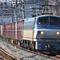 貨物列車 (EF66114)