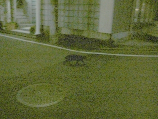 歩るってる