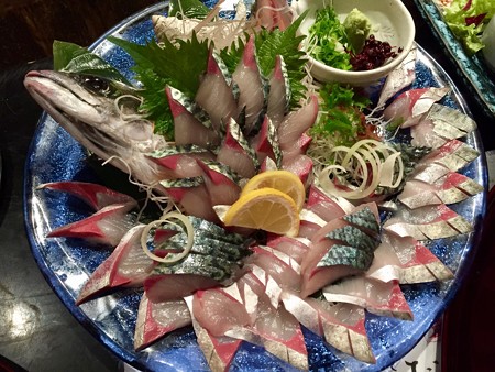 鯖鯖