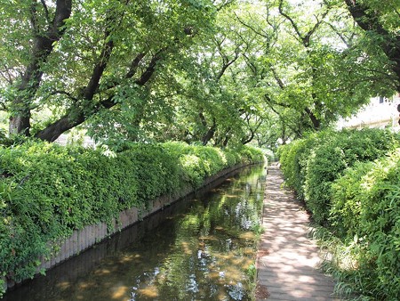 二ヶ領用水 (6)