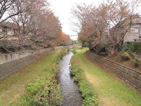 野川 (1)