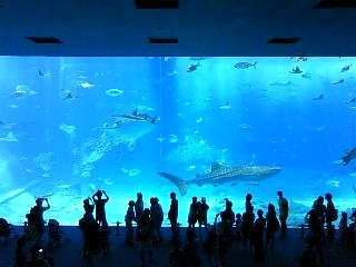 lifeximg_20100720053536