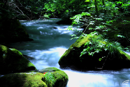 Blog_20160812_10