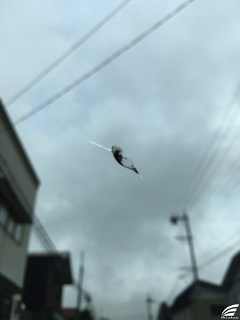 Blog_20160922_001