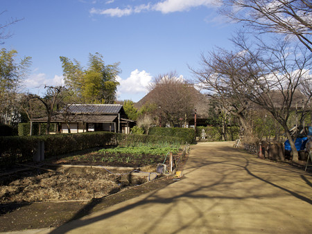 入口からの風景(スナップモード)