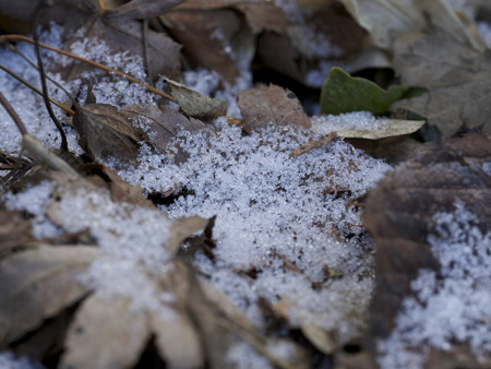 金曜の雪が残っている