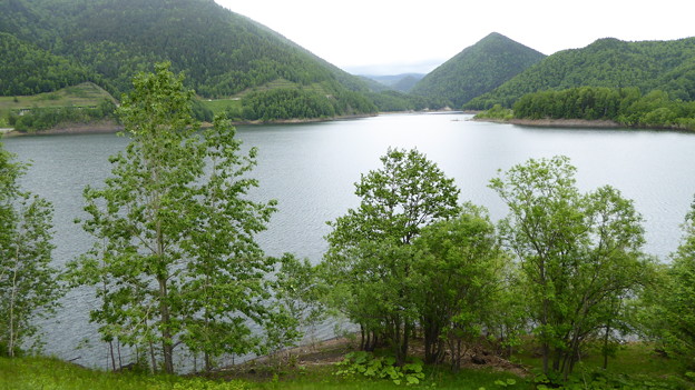 P1040613