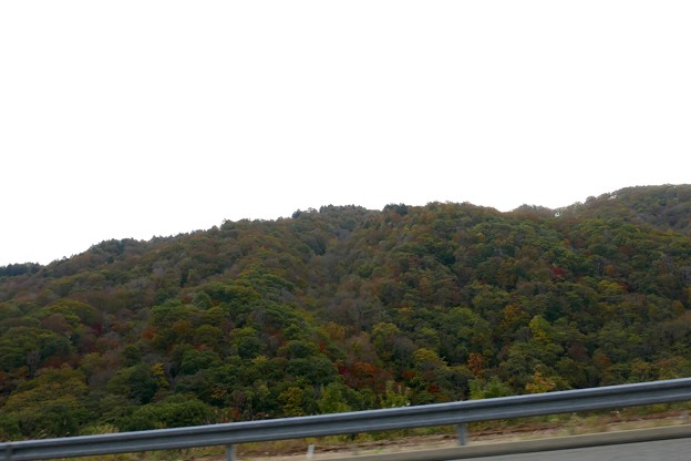P1710088