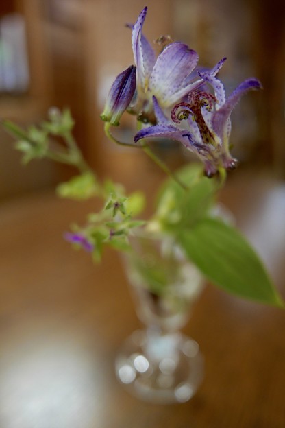 P1710272