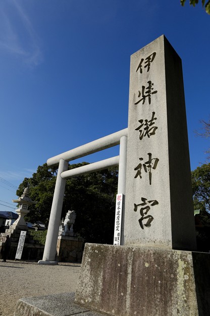1S7A6295