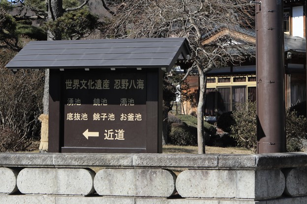 1S7A8052