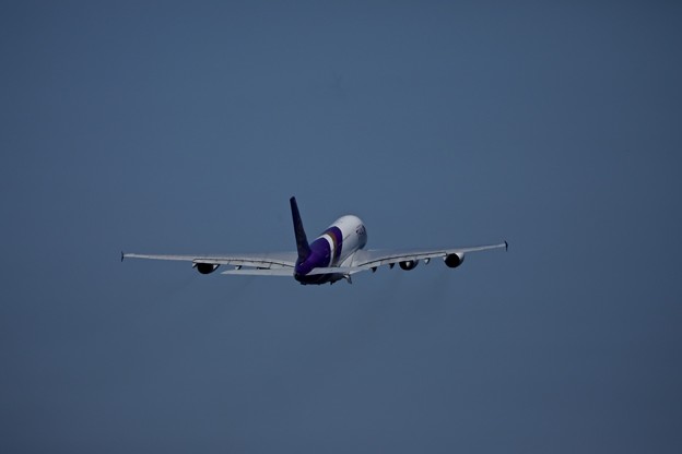 1S7A4895