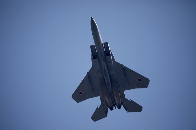 1S7A7533