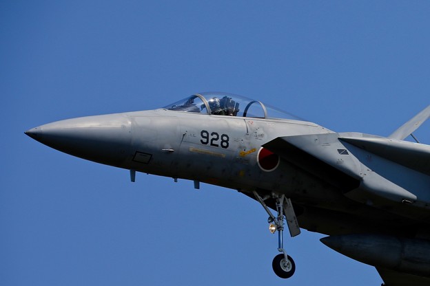 1S7A7685